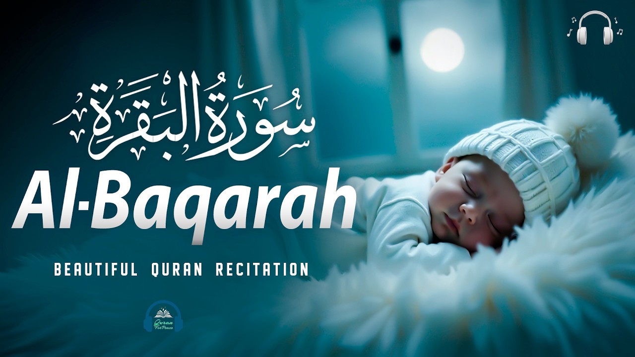 Surah Al-Baqarah (سورة البقرة) | Lofi Quran Peaceful Heart Recitation - By Alaa Aqel