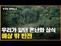 숲은 탄소를 빨아들이는 스펀지가 아니다.