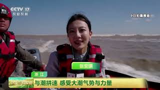 [中国三农报道]浙江 逐浪钱塘江 近距离感受“一线潮” | 农业致富经 Agriculture And Farming