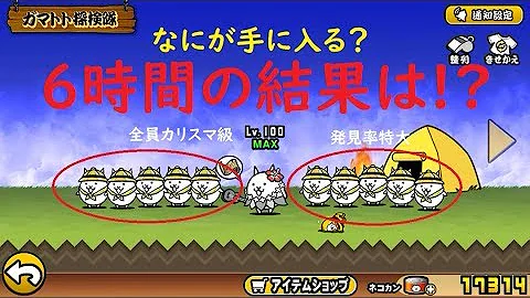 ガマトト テント