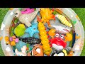 Baby Learning Animal Sounds & Names sea Animals Toys for Preschoolers