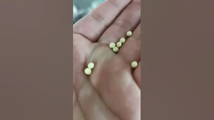 SPM ZP9 Tablet Press Machine