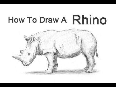 How to Draw a Rhinoceros - YouTube