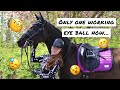 I got my horses eye removed 