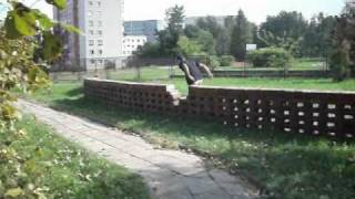 Olej Summer Sampler 2010