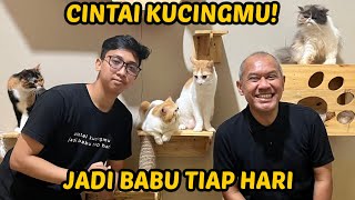 KERUKUNAN KE MARKAS KUCING CEMARA KOS KOSAN TANTE TEBO by Kucing Om Wepe 152,044 views 1 year ago 14 minutes, 41 seconds