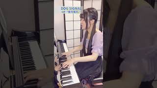 DOG　SIGNAL（4）