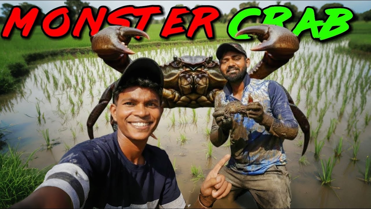 Gavachya Mangroves Madhe MONSTER CRAB 😱🦀 | Full Adventure Vlog 