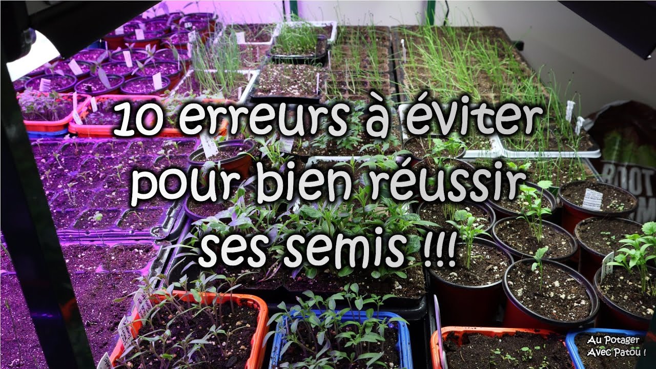 10 ERREURS à éviter pour BIEN RÉUSSIR ses semis.