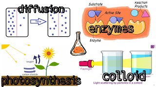 Botany: Physiology Lab Experiments | شرح جميع تجارب معمل الفسيولوجي
