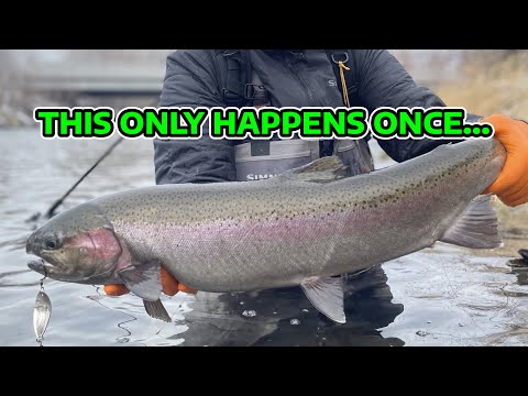 This Only Happens Once a Year | Boise River Steelhead Fishing