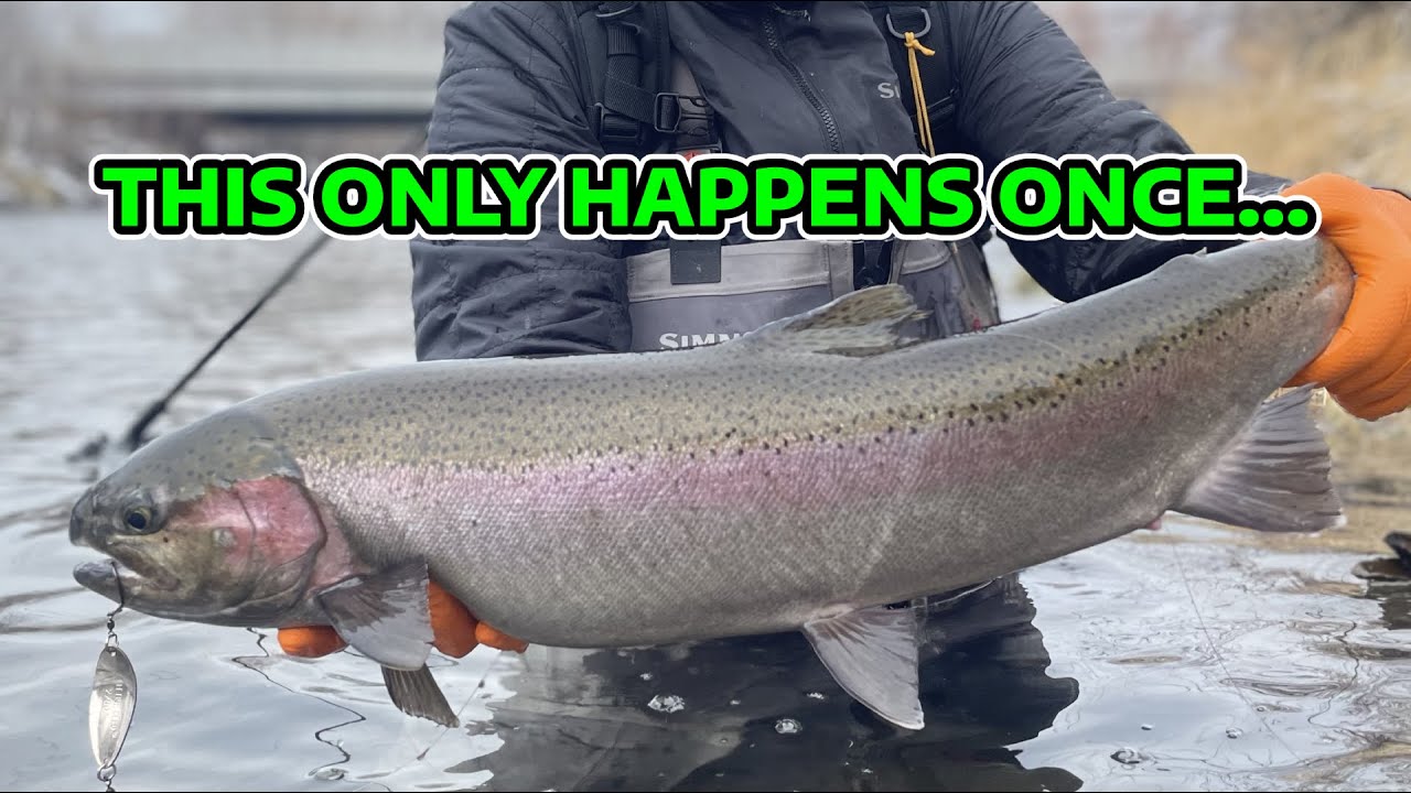 This Only Happens Once a Year | Boise River Steelhead Fishing
