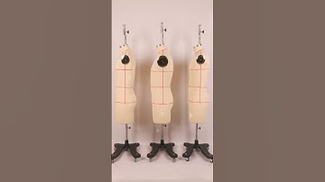 Junmei Male half body dress form for  lingerie designer