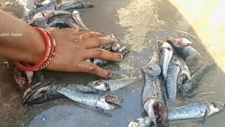 Snakehead fish recipe ll Garai fish recipe ll village style me amazing tasty fish   ll #viralvideo