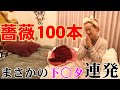 【薔薇100本】感動と思いきや...まさかの言葉に絶句。クリスマスサプライズ【えりことまるこめ】