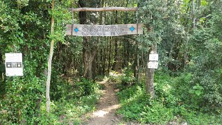 Scorpine Trail - Monte Arsenti