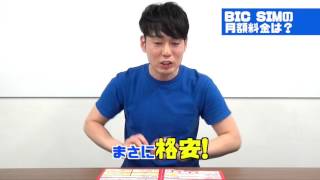 【格安SIM】家電量販店の店頭が契約できるSIM!「BIC SIM」を紹介！