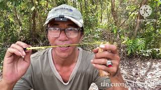 Guide angle 45. Guava tree on 11/8/2023 handmade slingshot / tancuong slingshot /