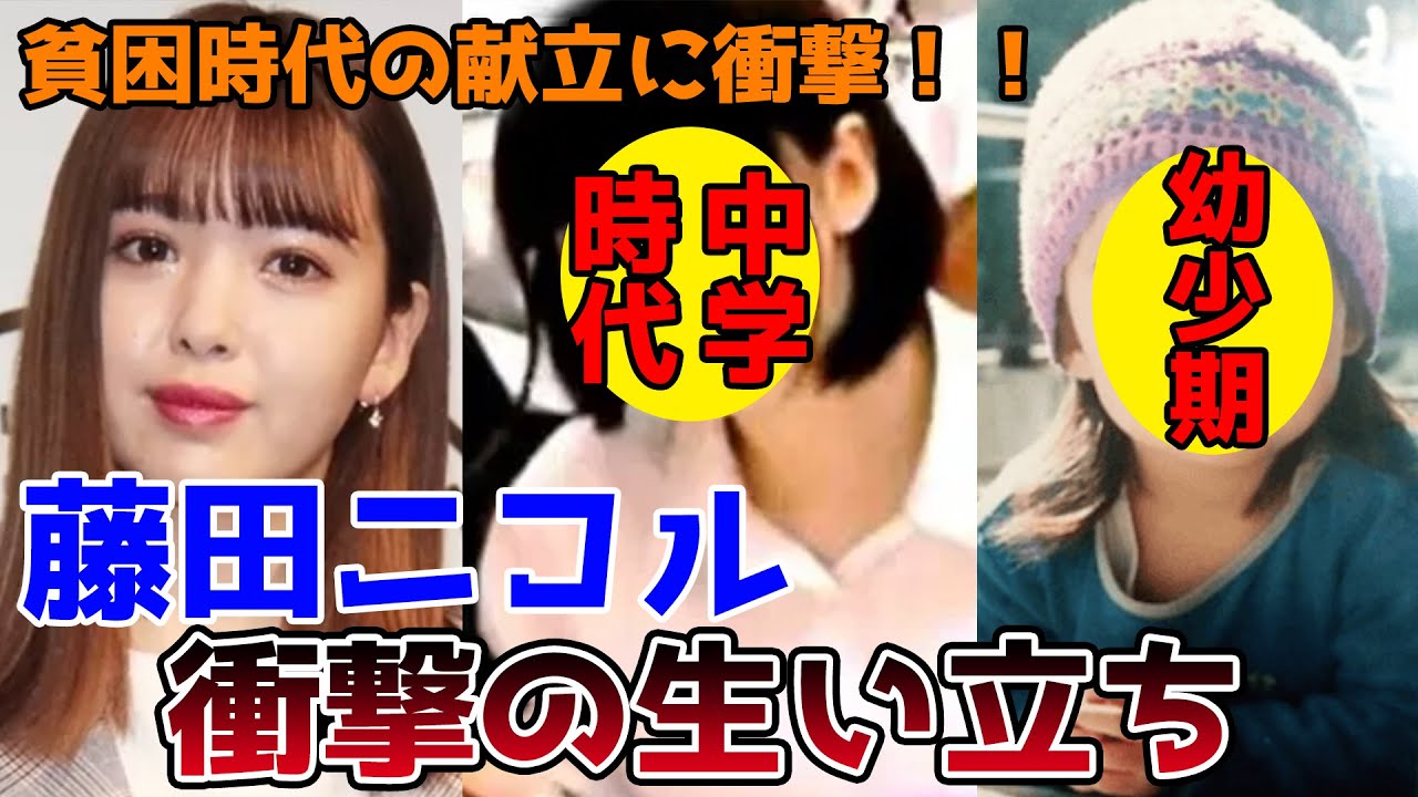 活動歴および当時の関連ビジュアル記録