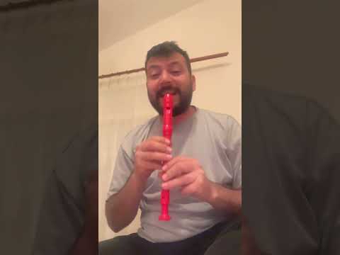 Siz Flüt çalmayı