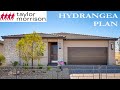 $385K Single Story 2050 sf Hydrangea Plan Taylor Morrison - Palmer Ranch North Las Vegas