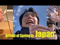 Japan vlog, cherry blossoms, shopping, matcha face packs, cooking dinner, daily life in Japan