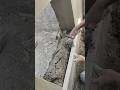 মুরশিদাবাদ প্লাস্টার জাল্লা ফিনিসিং #rajmistri #indonesia #subscribe #shortvideos #malaysia #work