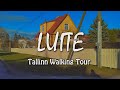 Tallinn Walking Tour | LUITE Subdistrict | Viadukti ► Leete ► Suitsu ► Luite ► Auru Streets