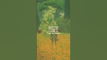 Infinite inventory slot glitch! #shorts #botw