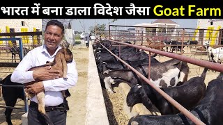 कनाडा  छोरे भारत आकर बनाया अपने सपनो का बकरी फार्म Goat Farming India #goatfarming