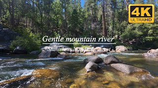 North Fork Stanislaus River - Gentle Mountain Water 4K California