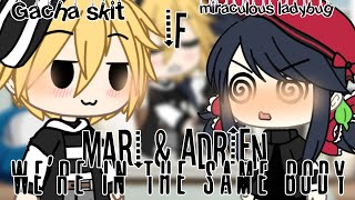 If mari &amp; Adrien we&#39;re in the same body || miraculous || gacha life || gacha skit