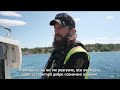 Незаконне пересування в зонах охорони птахів   Ulovlig ferdsel i fuglefredningsområder