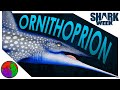 X-Rays & Buzzsaws | Ornithoprion | SHARK WEEK