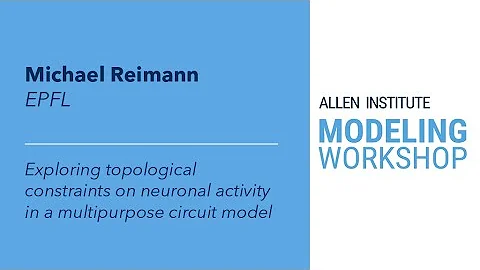 Allen Institute Modeling Workshop | Michael Reimann
