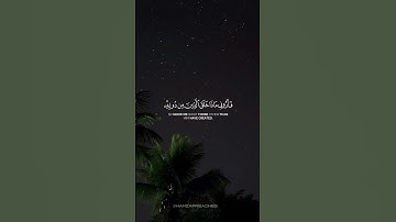 هذا خلق الله | القارئ ياسر الدوسري 🤍