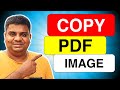 How to Copy PDF Image to Word Document