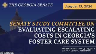 Study Committee on Escalating Costs in Georgia s Foster Care System Joint 08 13 26
