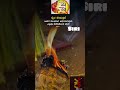 #Thaniya#viralvideo #love #youtubeshorts #youtube #instagram #trending #reels #karnataka #shivamogga