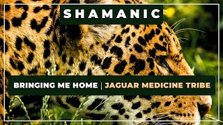 🎼 Bringing Me Home ⭐ Jaguar Medicine Tribe ✨ Shamanic Music