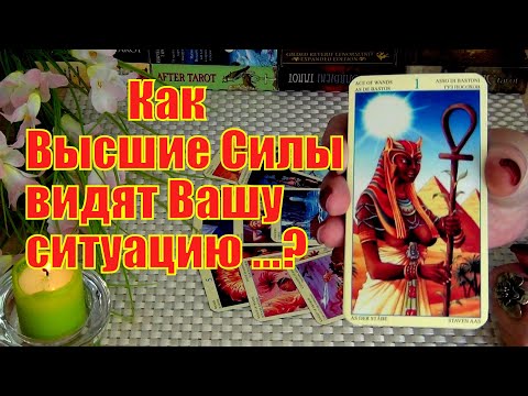 Как Высшие Силы Видят Вашу Ситуацию И Какой Дадут Совет.. Гадание Таро