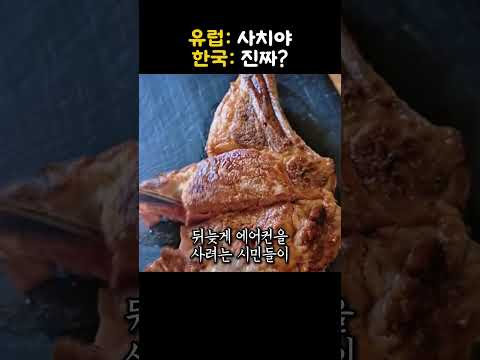 에어컨 사치라던 나라가 매장에서 구매 경쟁을 벌이자 충격적인 반응 thumbnail