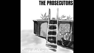 143. The Trial of Casey Anthony Part 6