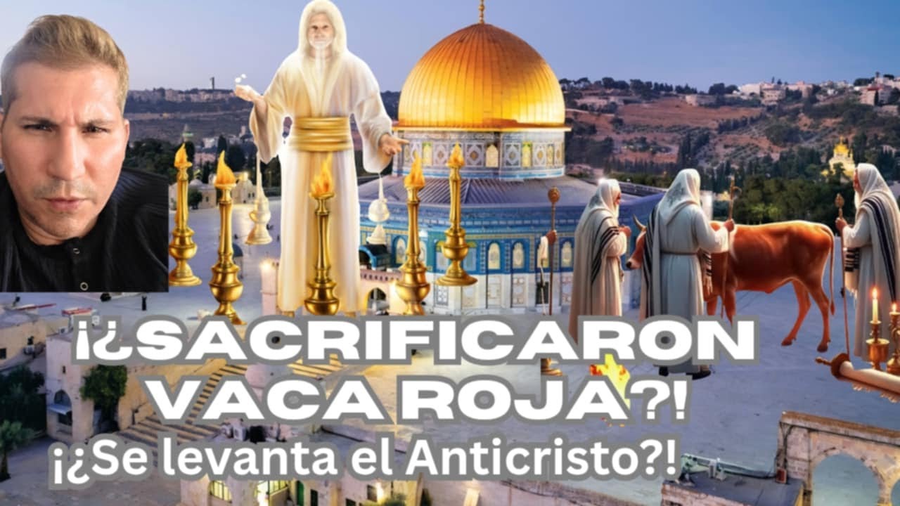 La Vacaca Ritual 😱 ¡¿Ritual de la vaca roja hecho en Israel?! ⚠️ Miguel Sánchez Ávila ...