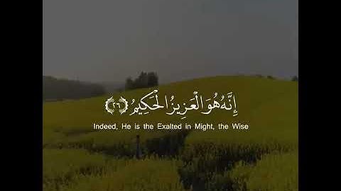 فآمن له لوط | تلاوة القارئ عبدالرحمن مسعد