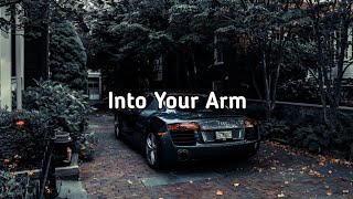 Into Your Arm(Remix) - DJ Santuy - Tik Tok Song