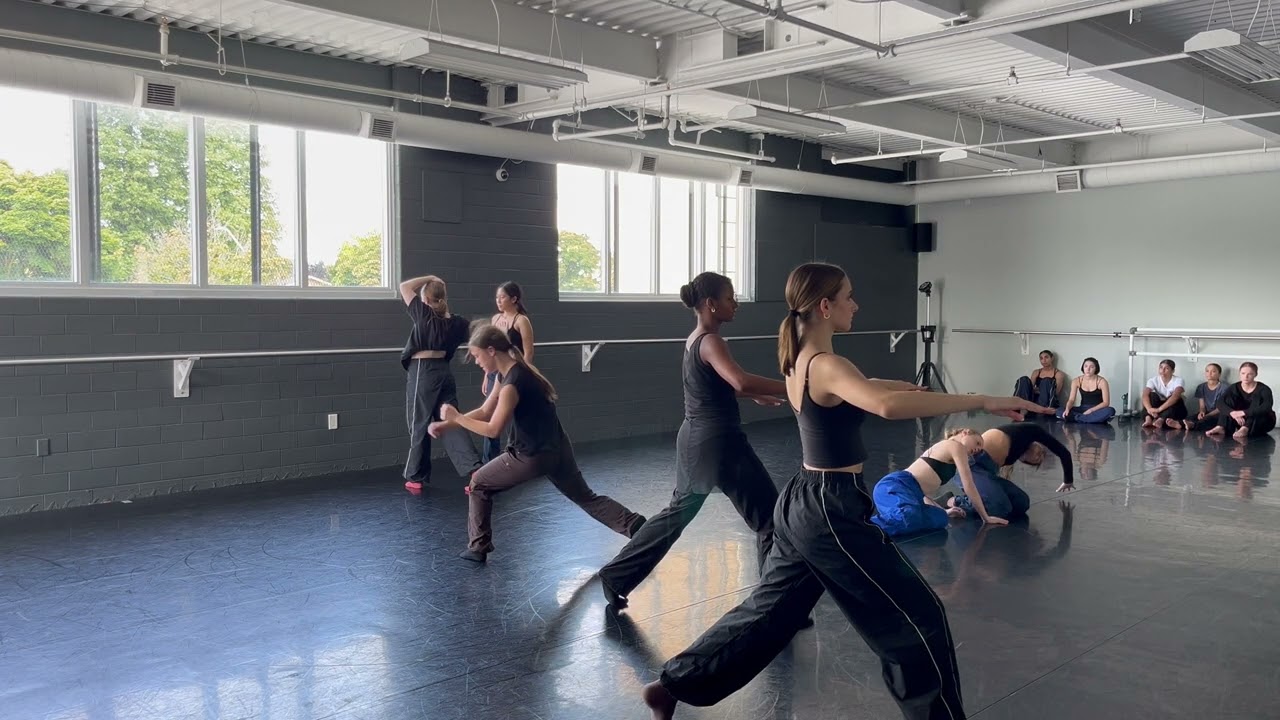 CDL SI 24 // Larissa Leung creation excerpt