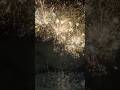 VENOM 200s #houston #fireworks #pyrotechnica #viral #fyp