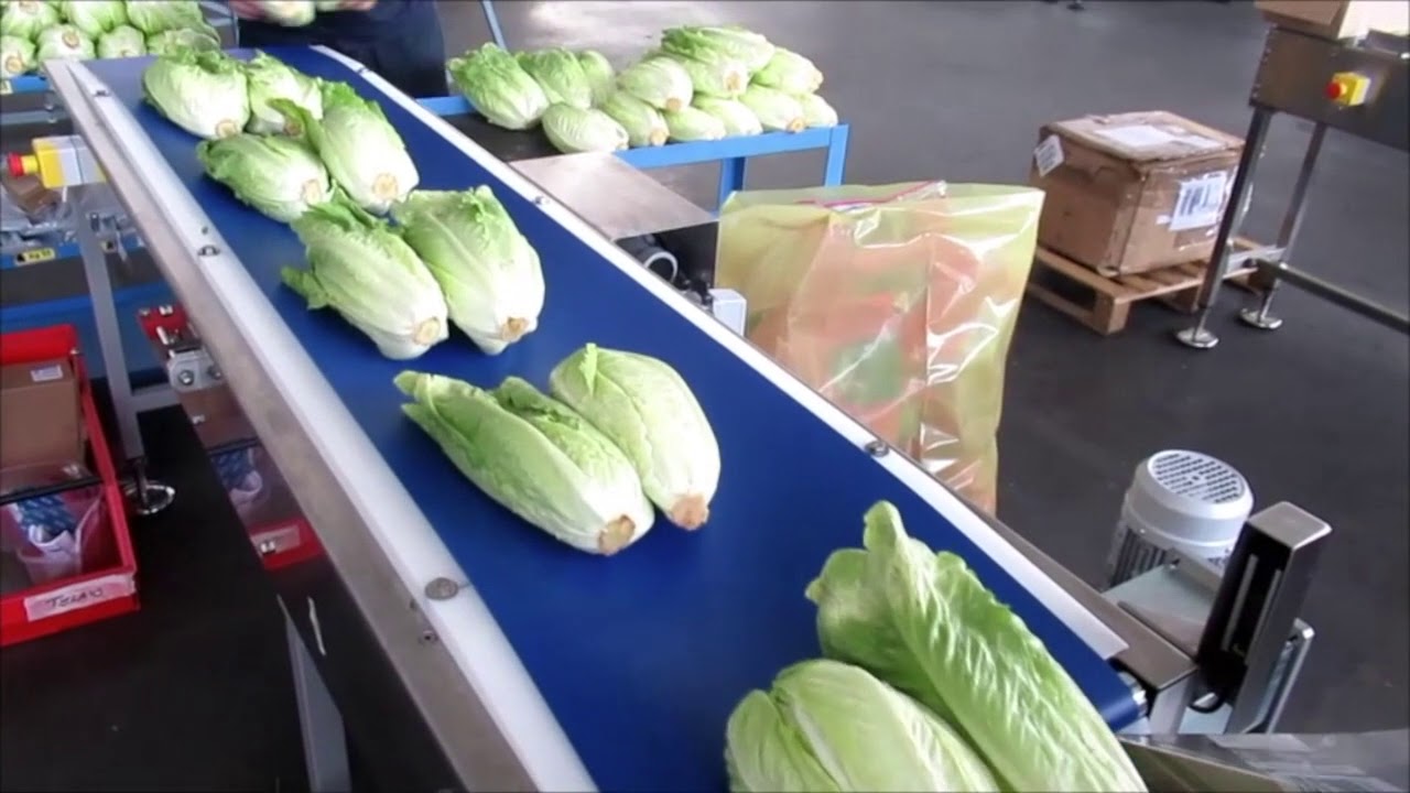 ITALDIBIPACK PRESENTA LA LINEA DIBIFLOW, ALTISSIMA QUALITÀ COSTRUTTIVA E SEMPLICITÀ FUNZIONALE