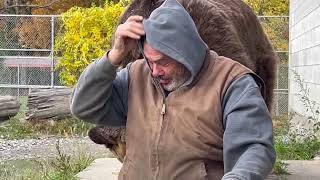 Jim and Leo. Such a friendship between a man and a bear!